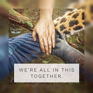 Meet your Posher, Noah